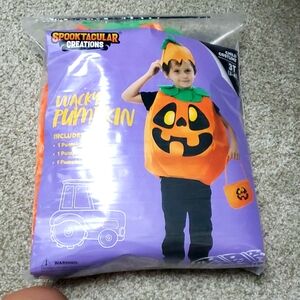 Pumpkin halloween costume